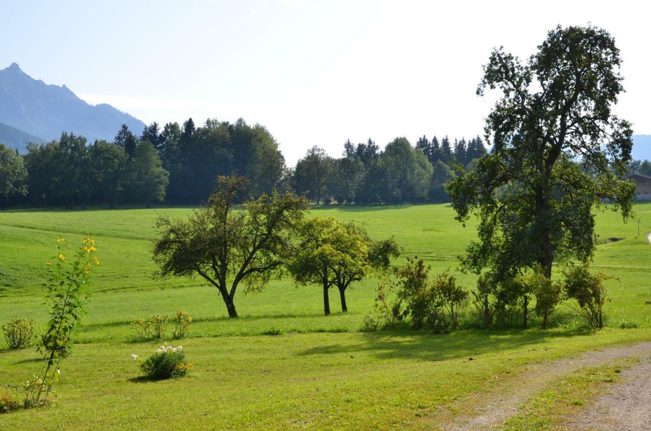 Naturresort Fischergut - Lodge Wolfgangthal Saint Wolfgang Exteriér fotografie