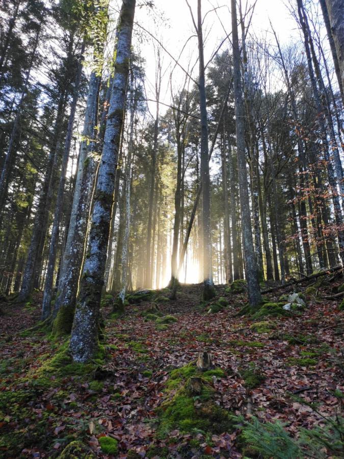 Naturresort Fischergut - Lodge Wolfgangthal Saint Wolfgang Exteriér fotografie